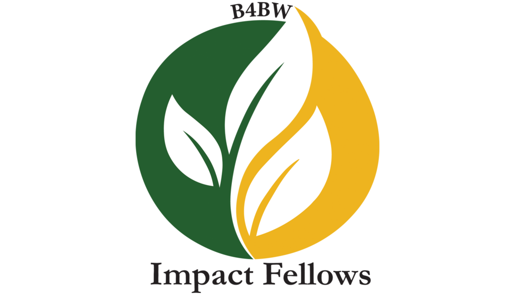 Impact Fellows Logo